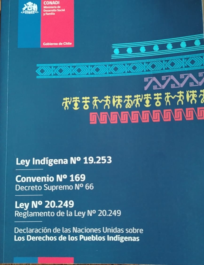 Los derechos de los Pueblo Indígenas. cover