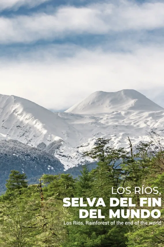 Los Ríos, selva del fin del mundo cover