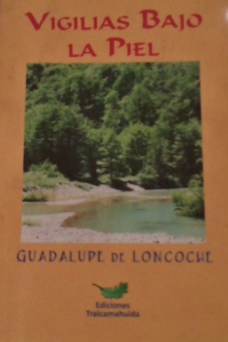 Vigilias bajo la piel cover