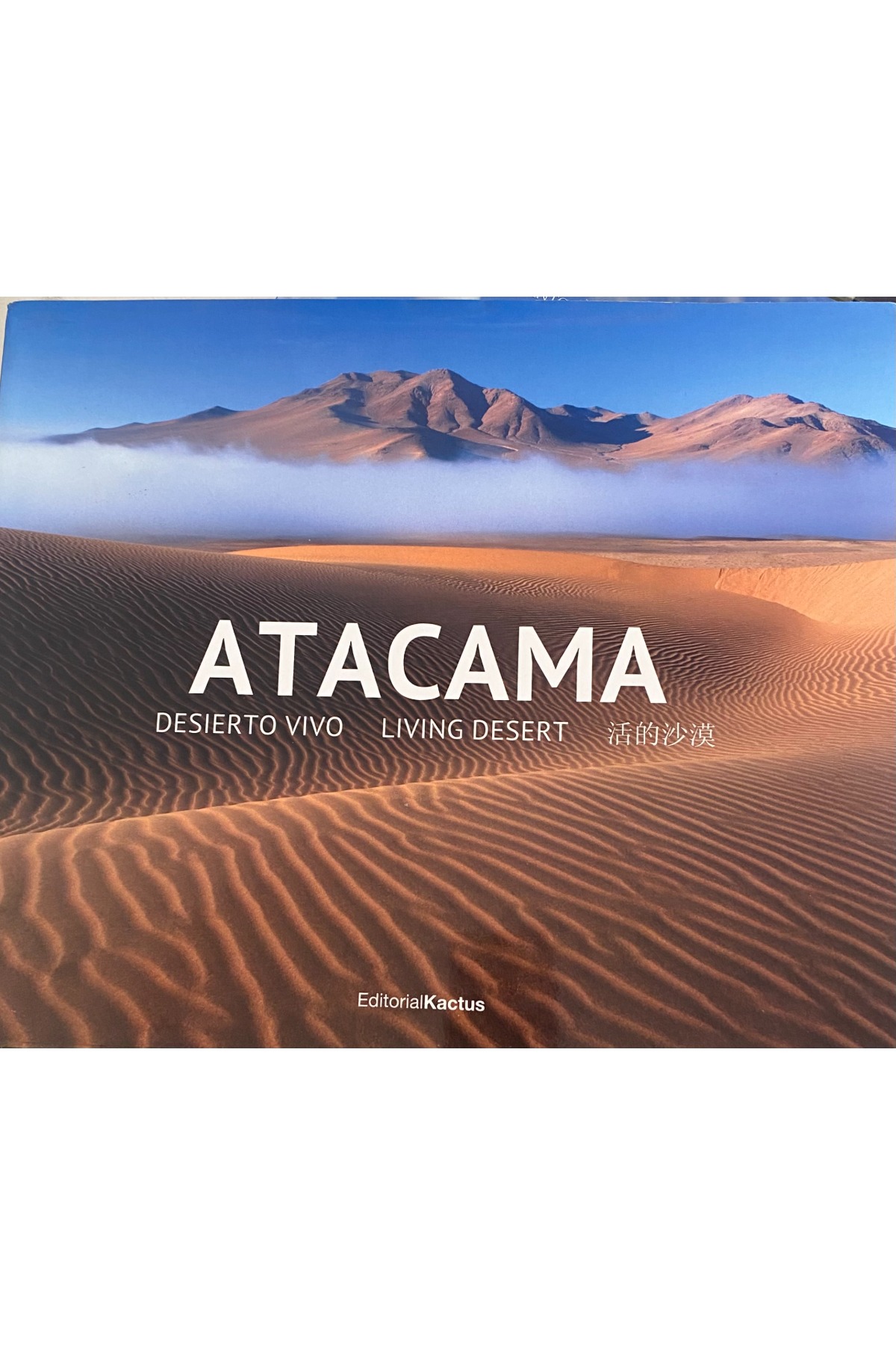 ATACAMA cover