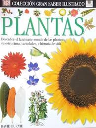 Plantas