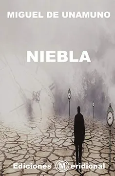 Niebla cover
