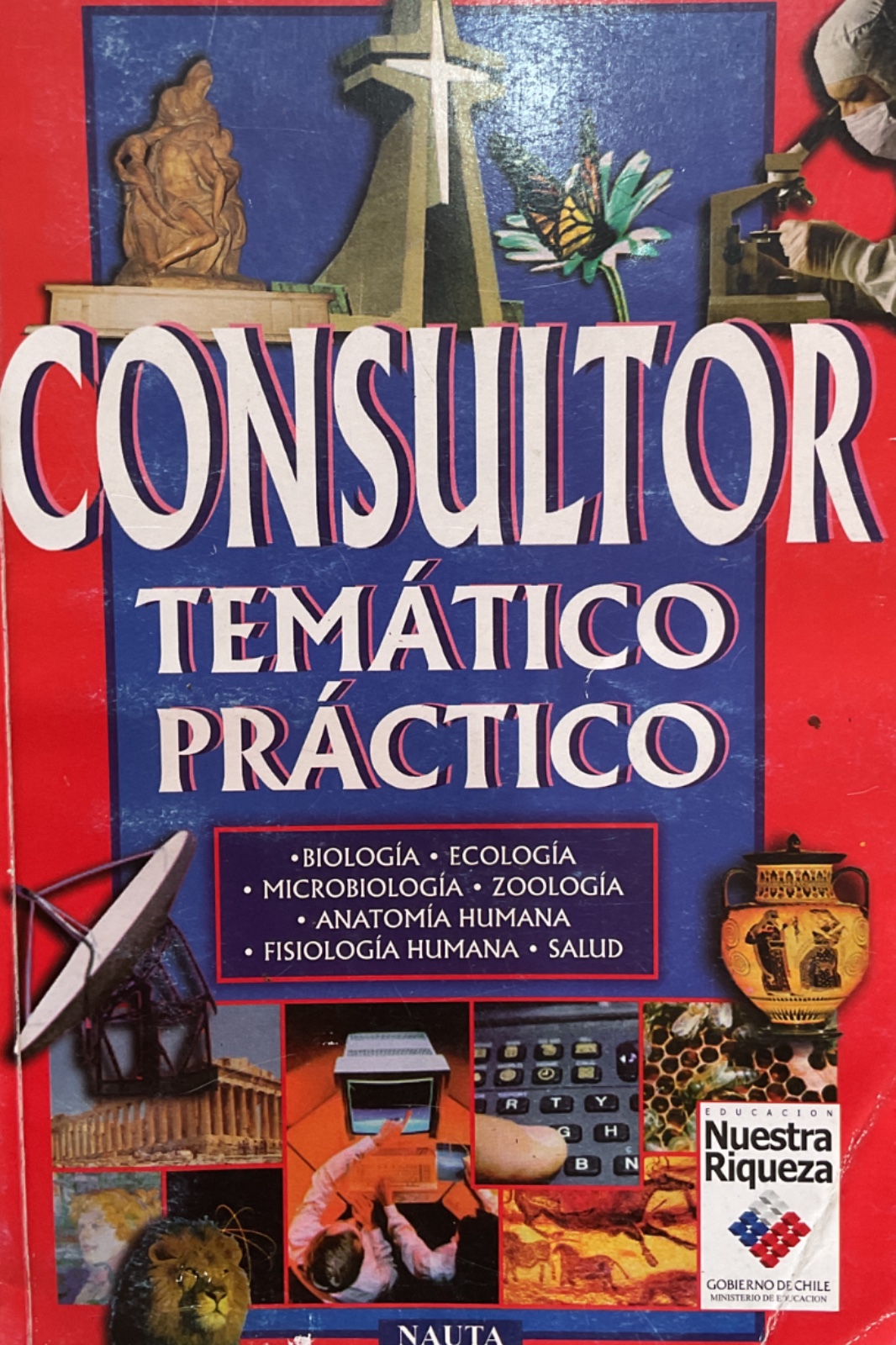 Consultor Temático Práctico