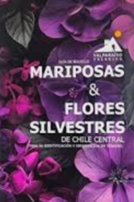 Mariposas & Flores silvestres de Chile central cover