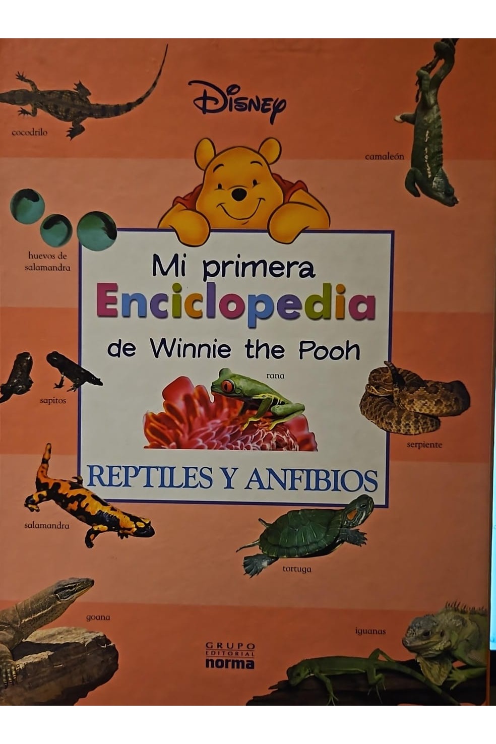 Mi primera enciclopedia de Winnie the Pooh Reptiles y anfibios
