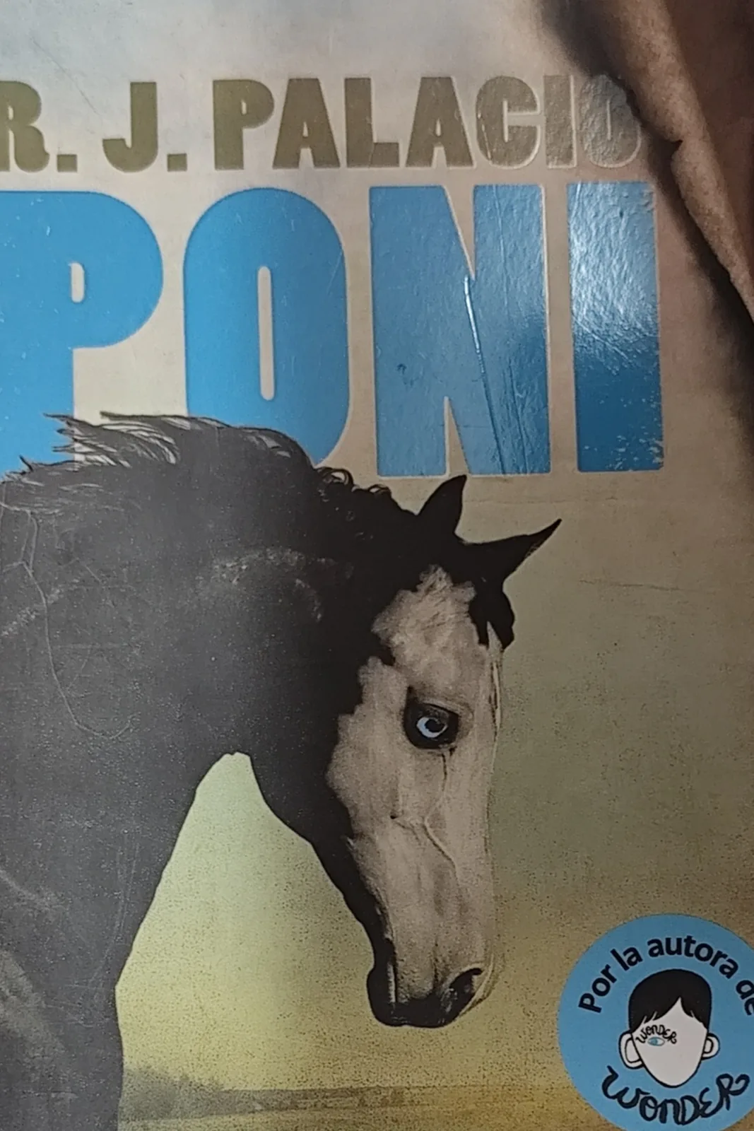 Poni
