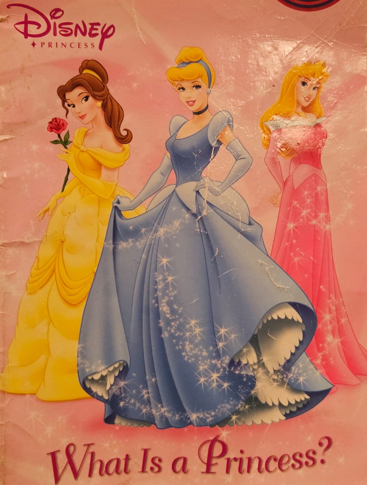 Whats is a Princess? cover