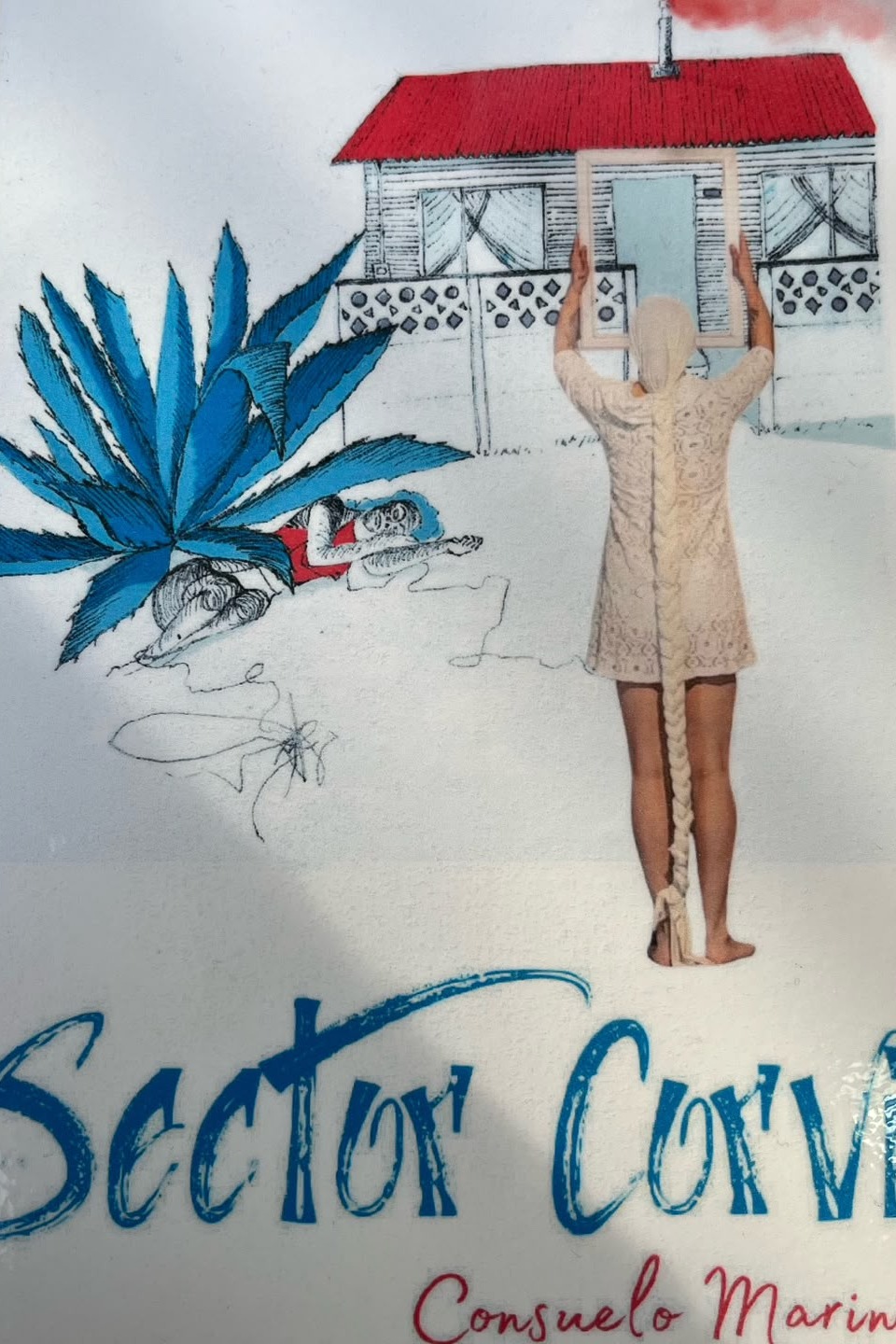 Sector Corvi cover