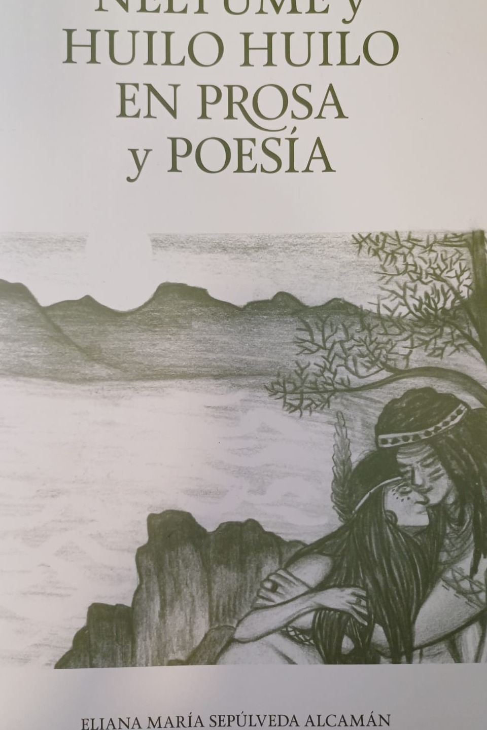 Neltume Y Huilo Huilo En Prosa Y Poesia cover