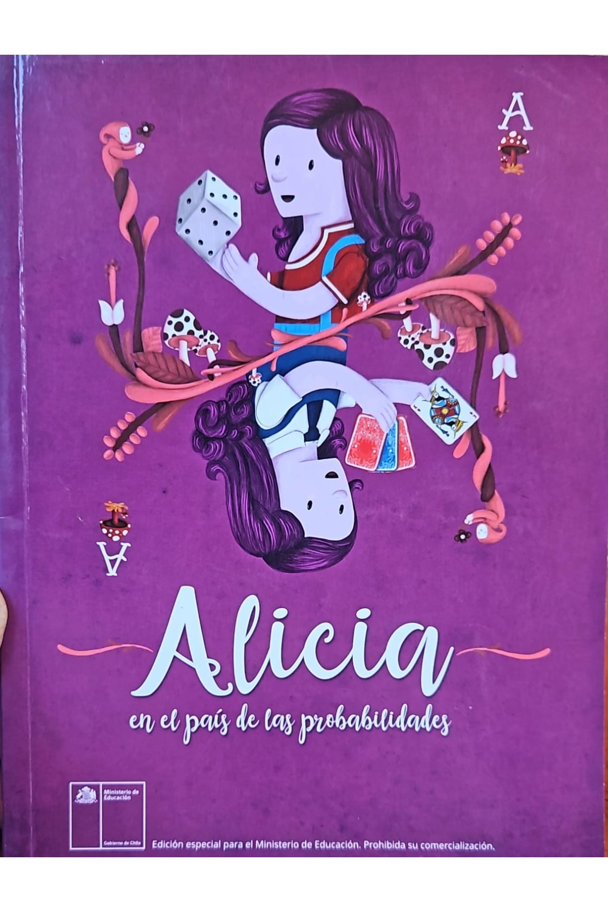 Alicia en el pais de las probabilidades cover