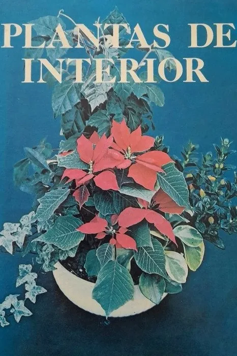 Plantas de interior