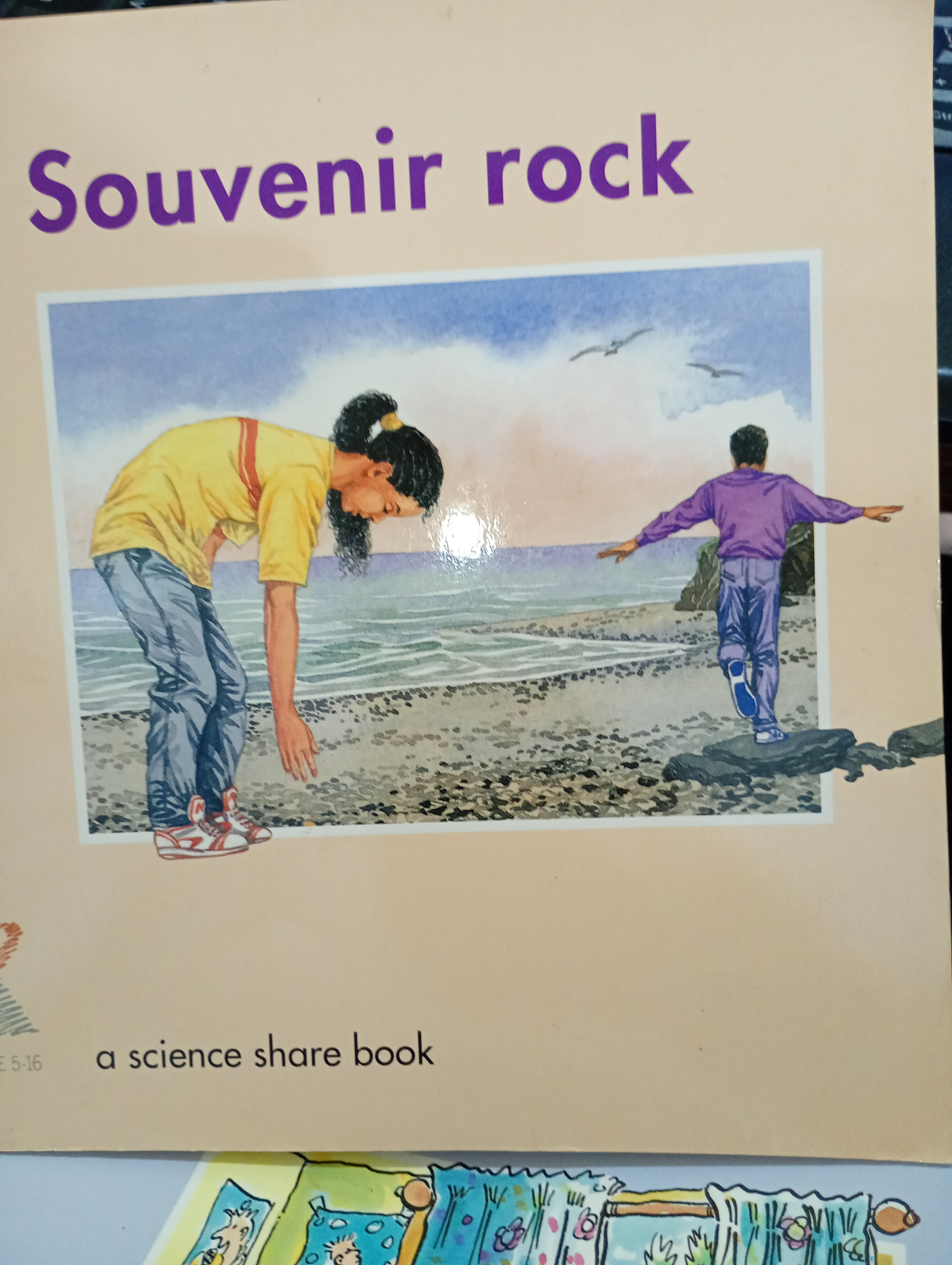 Souvenir Rock