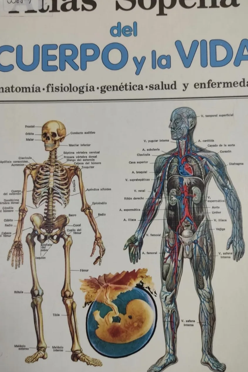 Atlas Sopena del cuerpo y la vida: anatomía, fisiología, genética, salud y enfermedad cover