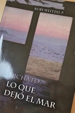 Dichato cover