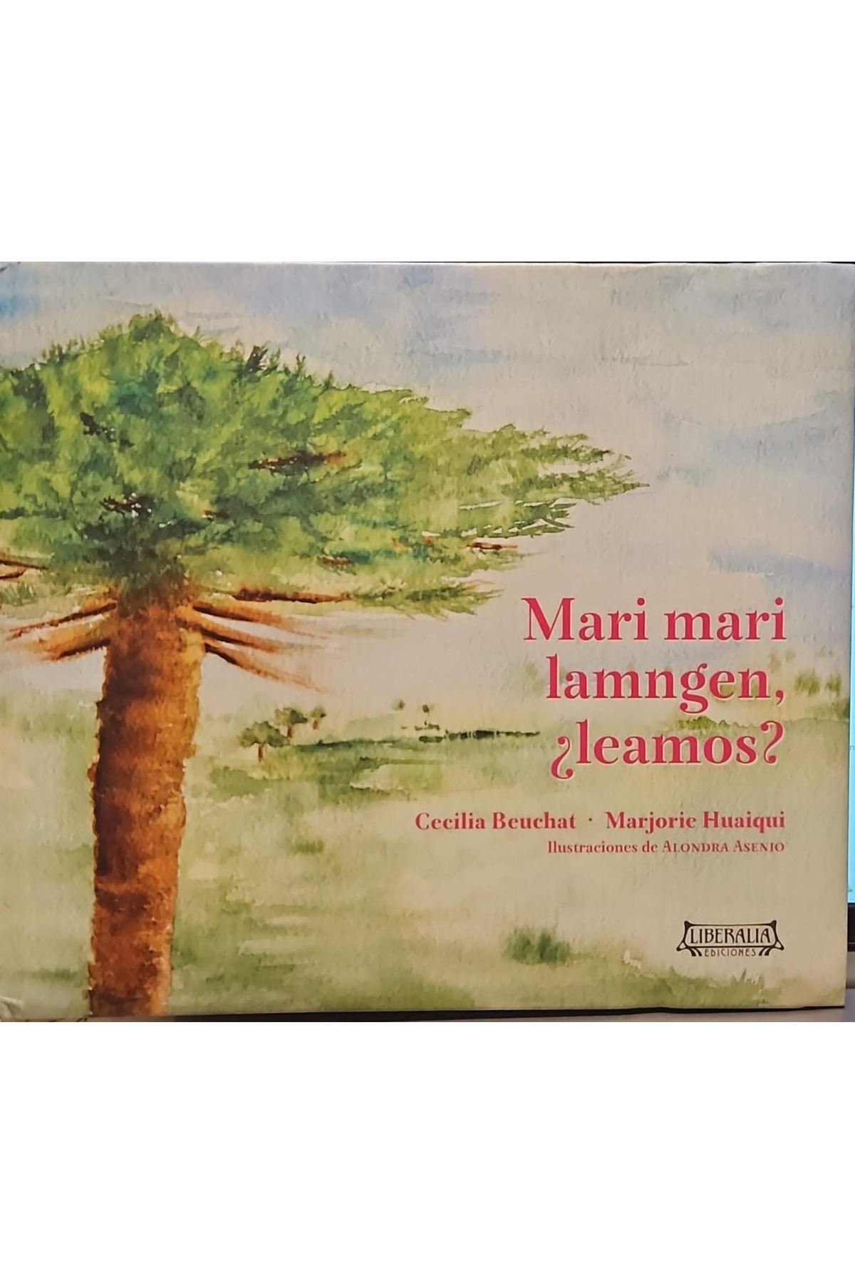 Mari Mari Lamngen cover