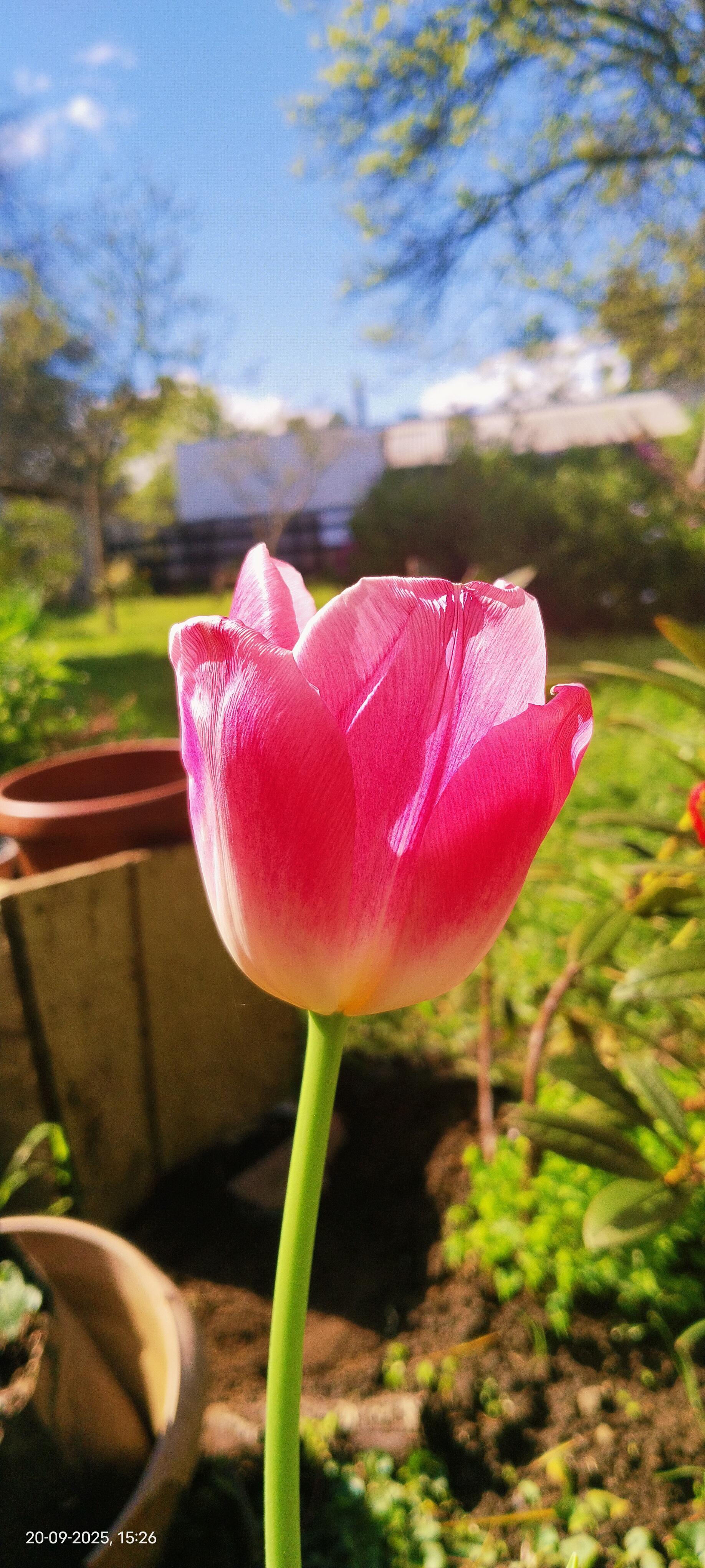 Rommy Waleska Neira Fuentealba