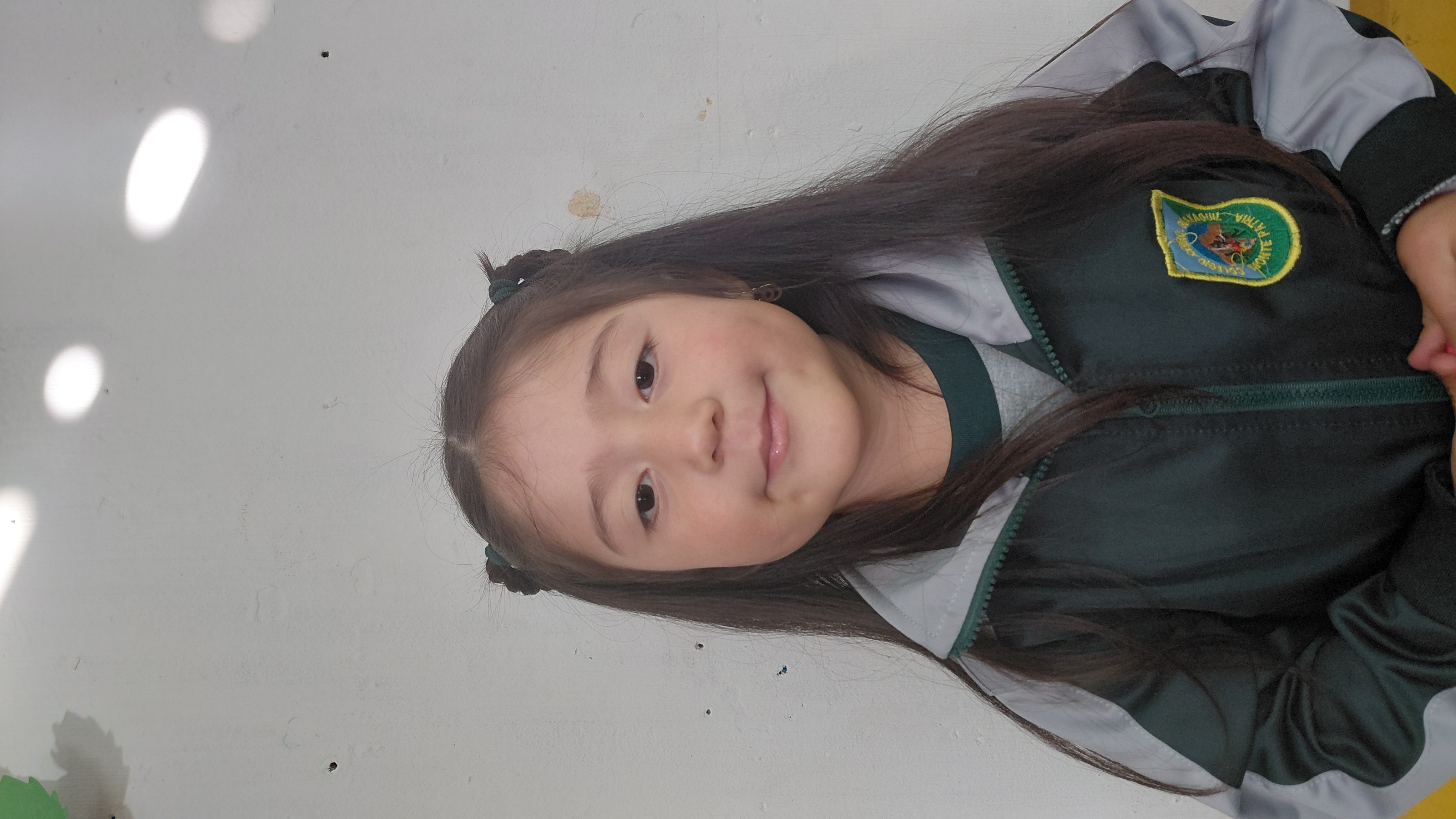 Sayen Anais Llancao Echeverria